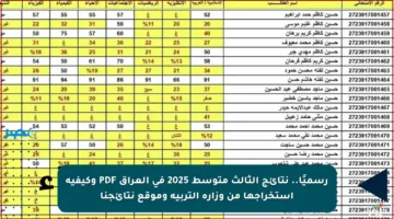 رسميًا.. نتائج الثالث متوسط 2025 في العراق PDF وكيفية استخراجها من وزارة التربية وموقع نتائجنا